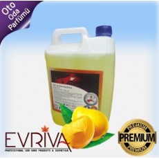 Abrias Oto ve Oda Parfümü Mango 5lt